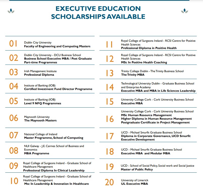 The list of executive education programs participating in scholarship program of the 30% Club Ireland.